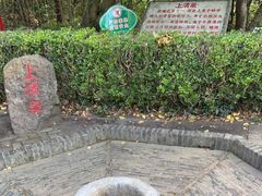 -上海佘山国家森林公园天马山园