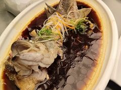 清蒸鲈鱼-芙蓉凰花园酒楼