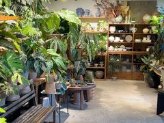 -自由生长植物工作室(深港花卉中心店)