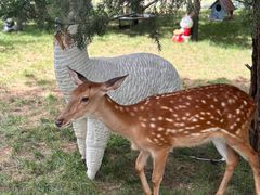 -北京鹿世界主题园