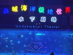 -泉城欧乐堡海洋极地世界