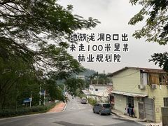 -火炉山森林公园