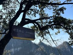 -塔云山