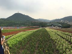 -东部华侨城