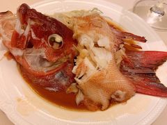 清蒸东星斑-利苑酒家(金宝店)