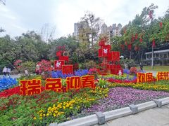 -晓港公园