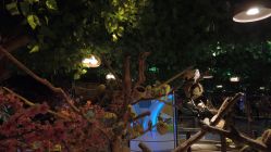 -酷嗒动物文化乐园(cutezoo西溪乐天城店)