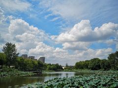 -新江湾城公园