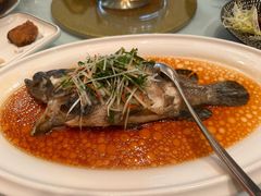 -老洋房花园饭店(绍兴路店)