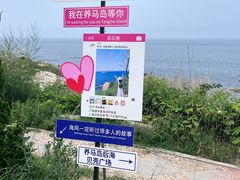 -养马岛旅游度假区