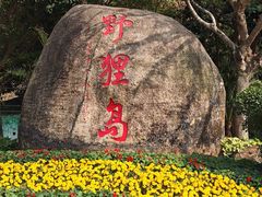 -野狸岛