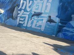 -海合安成都极地海洋公园