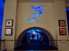 -迪拜水族馆及水下动物园