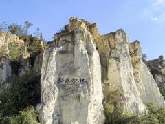 -彩色沙林风景区