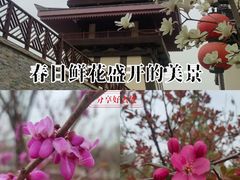 -黄帝陵