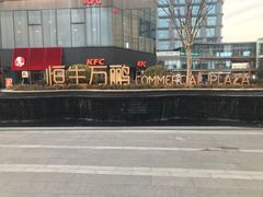 -恒生万鹂广场(唐镇店)