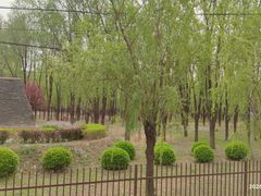 -东郊湿地公园
