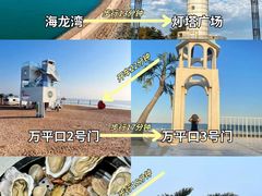 -日照海滨国家森林公园