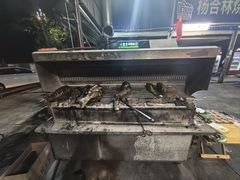 -杨合林啊兰烤鱼