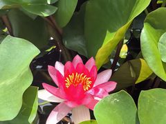 -木塔寺遗址生态公园