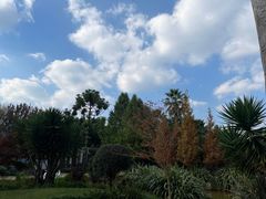 -昆明植物园