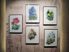 -四川大学博物馆