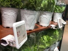 -盒马X会员店(王府井奥莱UP TOWN店)