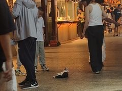-敦煌夜市