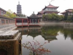 -高旻寺