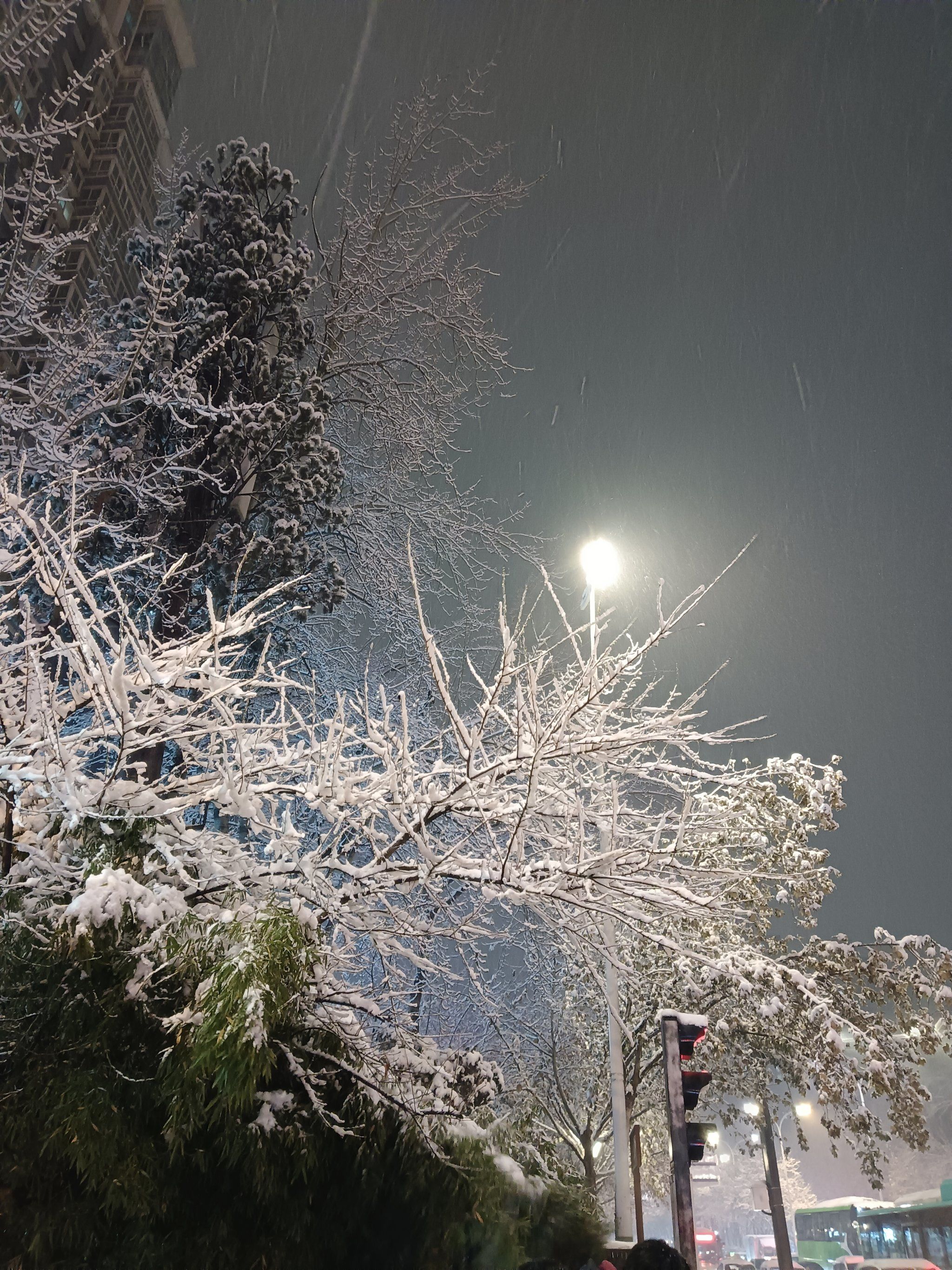 夜晚的雪景美翻了