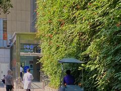 -浙江大学医学院附属第二医院(解放路院区)