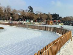 -长春市南湖公园