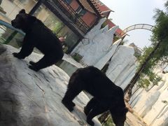 -灵玲国际马戏城