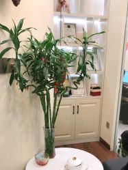 点击看大图 -芳朵美容养生SPA