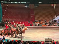 -俄罗斯国家大马戏团