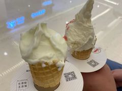 -野人先生现做冰淇淋(北京环宇荟店)