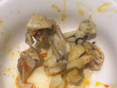 -靓蛙馆