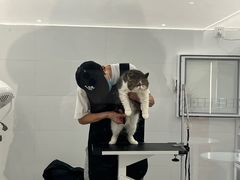 -comecome来吧宠物(奥克斯中心店)