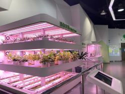 -北京科学中心儿童乐园