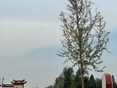 -赵州桥景区