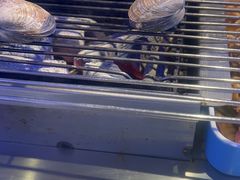 -江合勇丹东兄弟小串海鲜烧烤(总店)