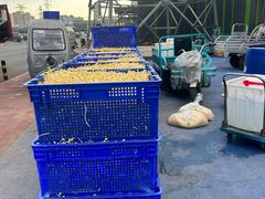 -三旗百汇商品城