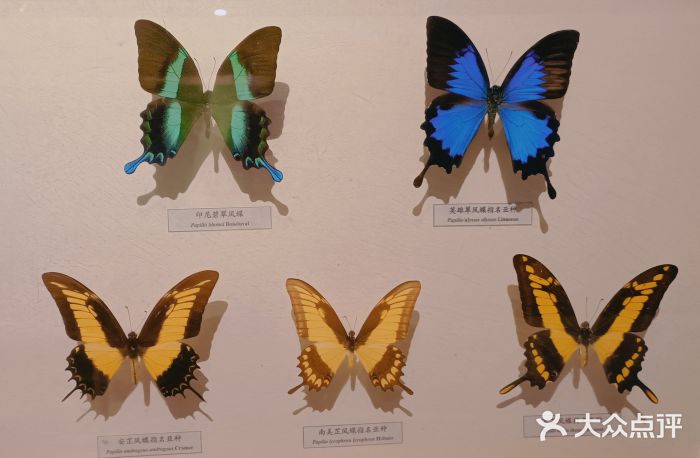 昆明动物博物馆图片