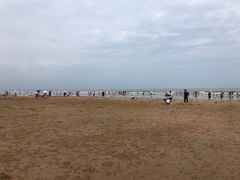 -日照海滨国家森林公园