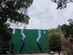 -潜山国家森林公园