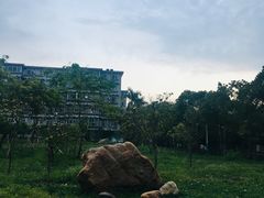 -广东外语外贸大学(白云山校区)