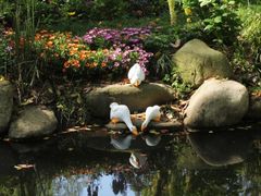 -上海共青森林公园