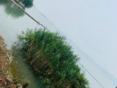 -古尚锦酒楼·水上餐厅
