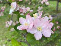 -苏州上方山国家森林公园