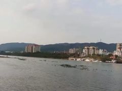 -西双版纳原始森林公园